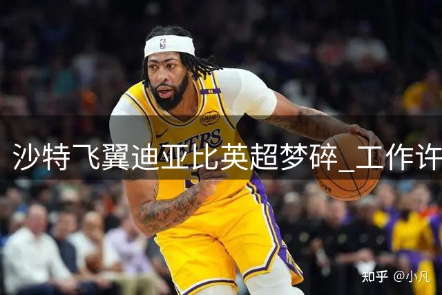 沙特飞翼迪亚比英超梦碎 工作许可阻碍桑德兰引援计划